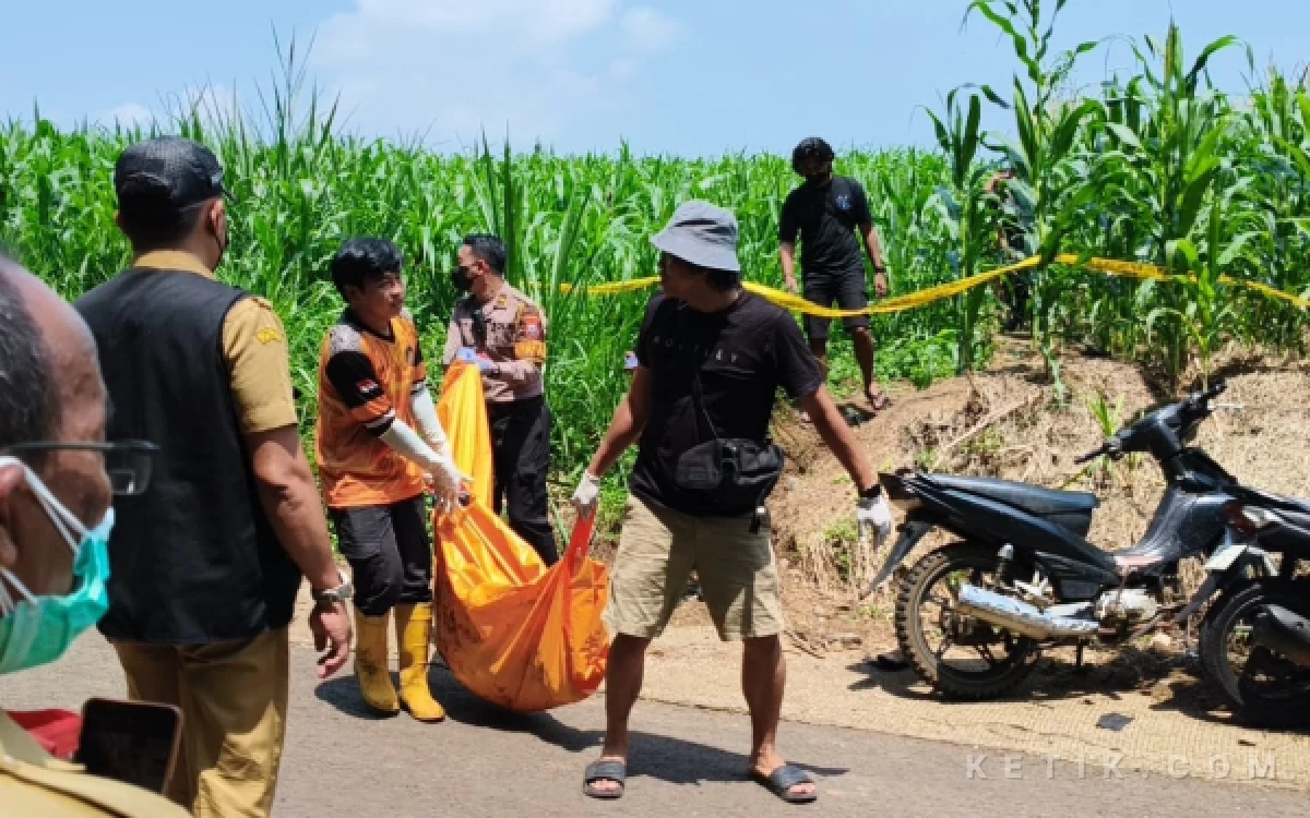 Penemuan Mayat Misterius di Hutan Wonosalam Jombang Gegerkan Warga