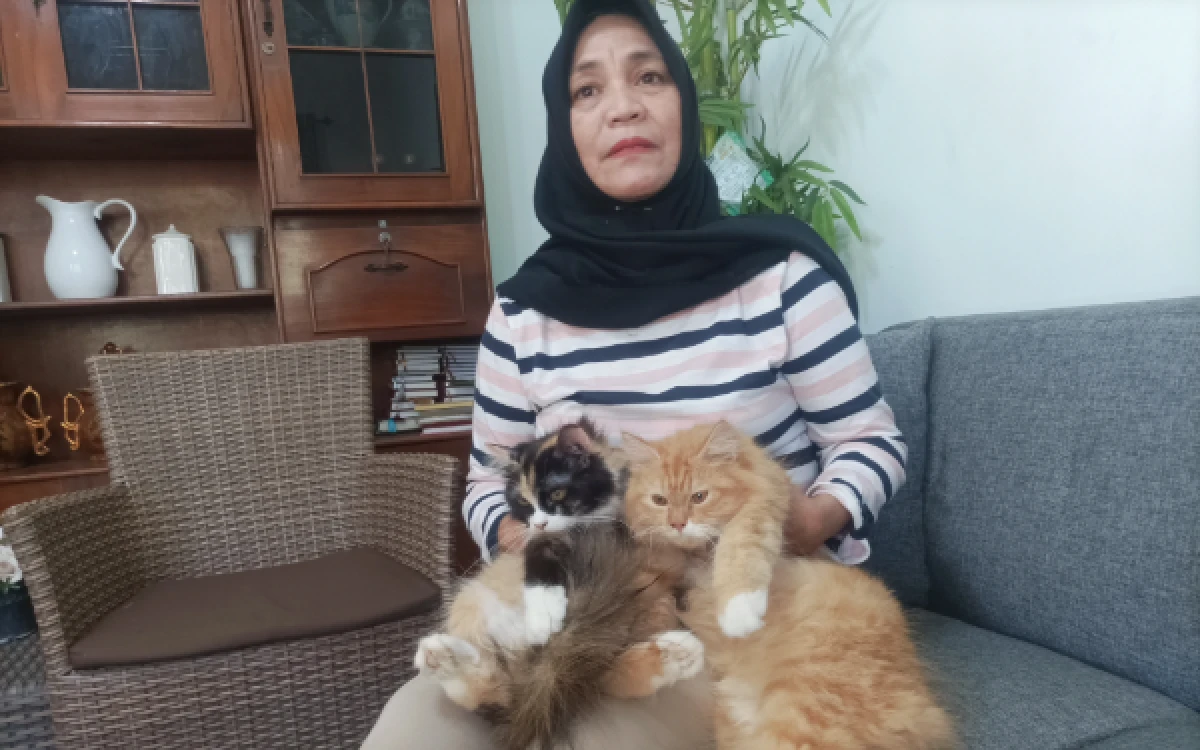 Kota Malang Geger! 8 Kucing Mati Misterius di Lesanpuro