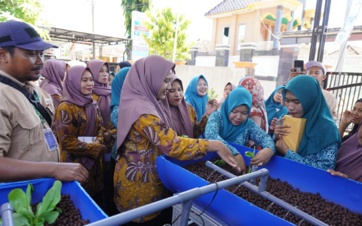 Thumbnail Berita - Investasi SDM di Jenu, PRPP Latih Kader Posyandu Budidaya Akuaponik untuk Gizi Balita