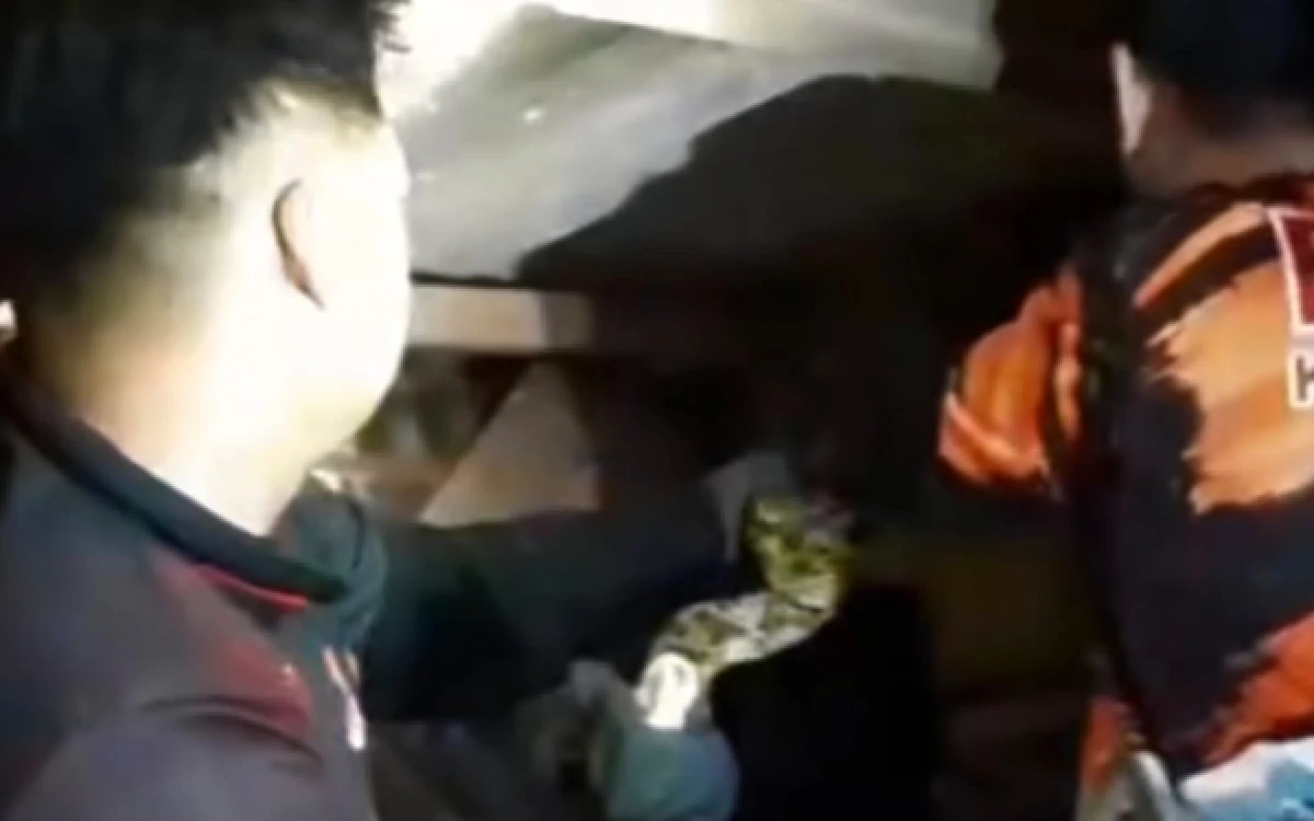 Thumbnail Berita - Bikin Heboh! Ular Sanca Kembang 2 Meter Muncul di Atap Rumah Warga Surabaya