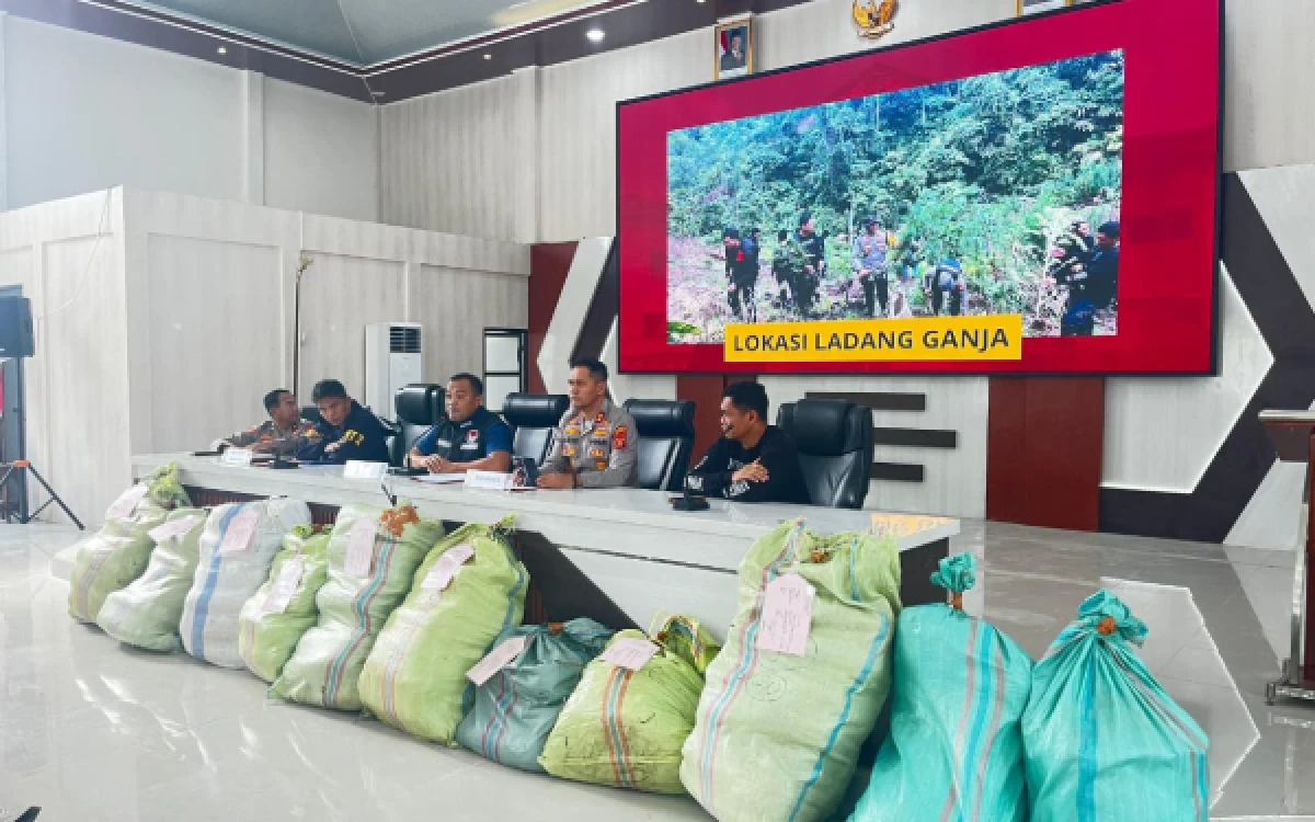 Thumbnail Berita - Sita 220 Kg Ganja, Polda Sumsel Bongkar Ladang 20 Hektar Jaringan Antar Pulau