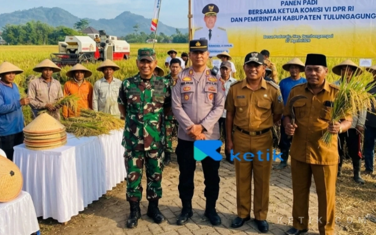 Thumbnail Berita - Desa Podorejo Wakili Sumbergempol Tulungagung dalam Panen Raya Nasional, Petani Dinilai Berhasil Jaga Ketahanan Pangan