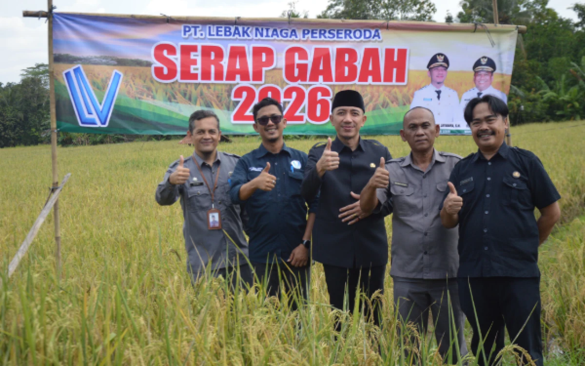 Thumbnail Berita - Lebak Niaga Serap Gabah Petani, Bupati Hasbi: Petani Kini Tak Lagi Kesulitan Pasarkan Hasil Panen