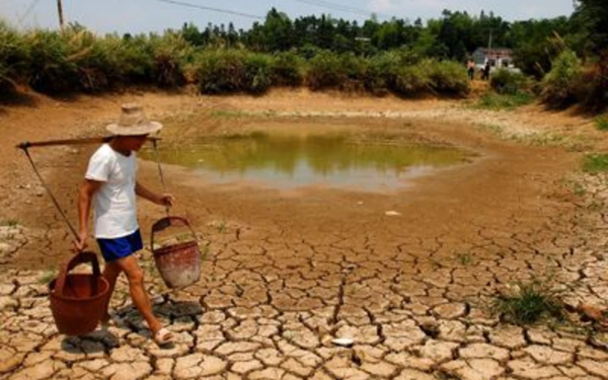 Thumbnail Berita - NOAA Prediksi El Nino 2026 Menguat, Pakar Unair Ingatkan Mitigasi Sejak Dini