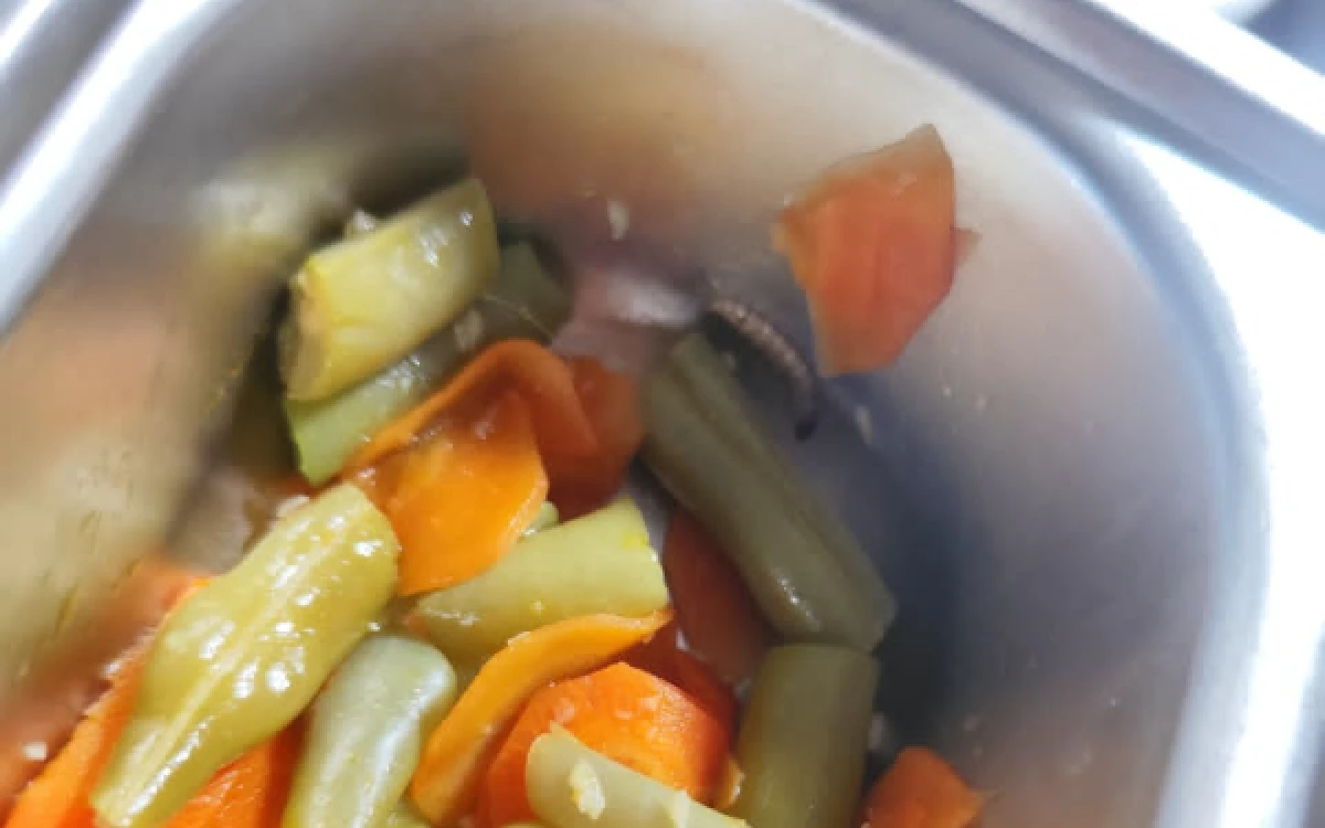 Foto Ulat warna beda dalam ompreng MBG SPPG Wanglukulon diterima Penerima Manfaat Sekolah Menengah Pertama di Kecamatan Senori, Rabu 29 April 2026 (Foto: Ahmad Istihar/Ketik.com)