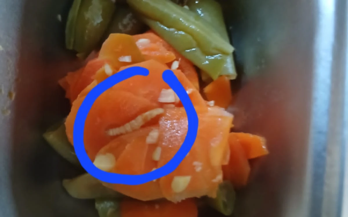 Thumbnail Berita - Ada Dua Ulat di Menu MBG SPPG Wanglukulon Tuban, Siswa dan Guru Pilih Diam Takut Didatangi Aparat