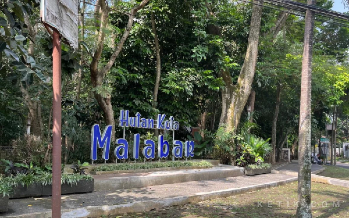 Thumbnail Berita - Kejar Target 30 Persen RTH, DLH Kota Malang Bidik Fasum Perumahan