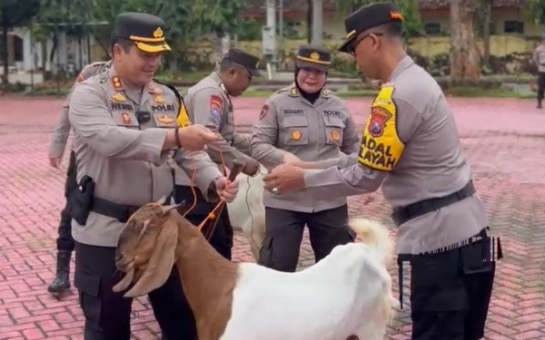 Thumbnail Berita - Kapolres Sumenep Lepas 54 Ekor Kambing ke Polsek Se-Sumenep, Ada Apa?