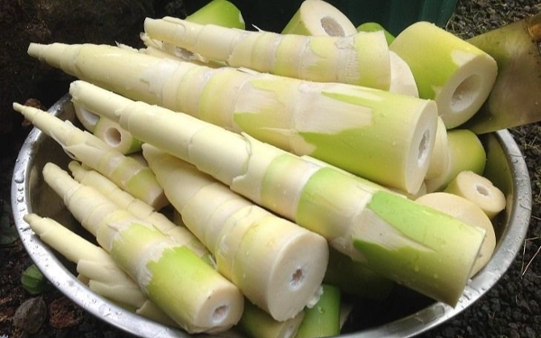 Thumbnail Selain Nikmat untuk Sayur Lodeh, Ini Segudang Manfaat Rebung 