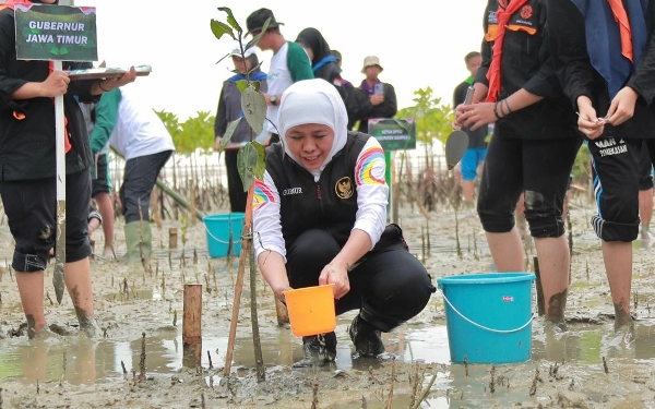 Thumbnail Tanam 5.750 Bibit Mangrove, Gubernur Khofifah Gaungkan Sedekah Oksigen