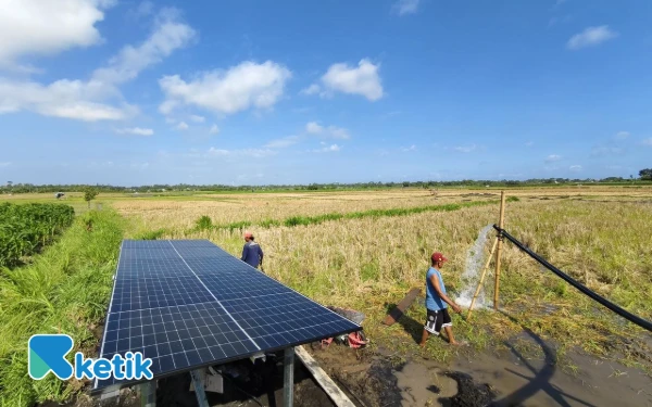 Thumbnail Berita - Pompa Air Tenaga Surya Lorentz, Solusi Pertanian Lebih Hemat, Ini Kelebihannya