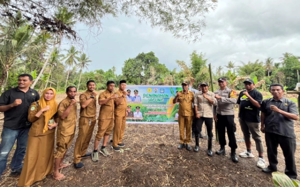 Pemdes Hidayat Bersama PWI, Tanam Jagung Sehektar Dukung Ketahanan Pangan dan Agromaritim