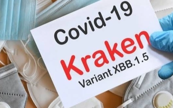 Thumbnail Waspada! Gejala Awal Varian Virus Kraken Bukan Demam