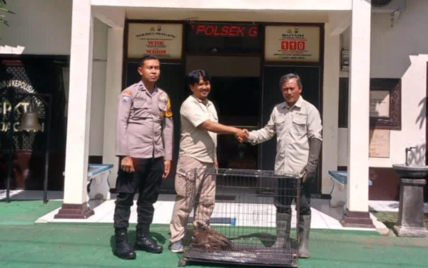 Thumbnail Ditemukan Terjerat Jaring, Polres Malang Serahkan Elang Ular Bido ke BBKSDA Jatim