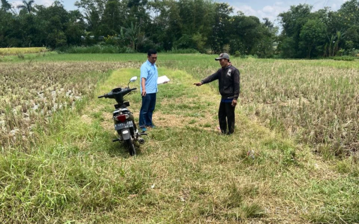 Miris! Satu Keluarga di Kabupaten Malang Jadi Sindikat Curanmor, Mertua hingga Anak dan Menantu Ditangkap