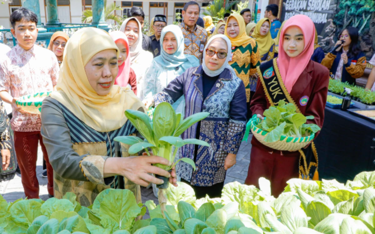 Thumbnail Berita - Sawi Samhong Hasil Budidaya Siswa Jombang Jadi Sorotan Gubernur Khofifah dalam Program Ketahanan Pangan Sekolah