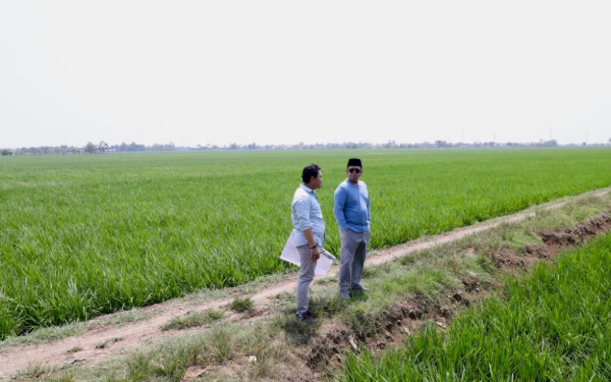 Thumbnail Tinjau Kawasan Industri di Indramayu, Menteri Nusron Pastikan Lahan Tidak Masuk ke LSD