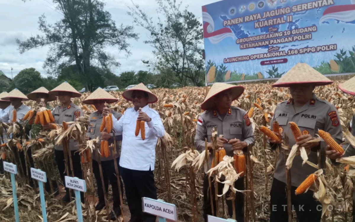 Thumbnail Berita - Kapolda Aceh Lakukan Panen Raya Jagung di Singkil Utara