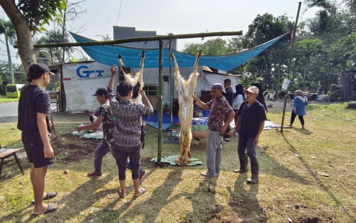 Thumbnail Berita - Iduladha 1447 H, Apotek Slamet Urip Cemorokandang Malang Berkurban Seekor Sapi dan 3 Ekor Kambing