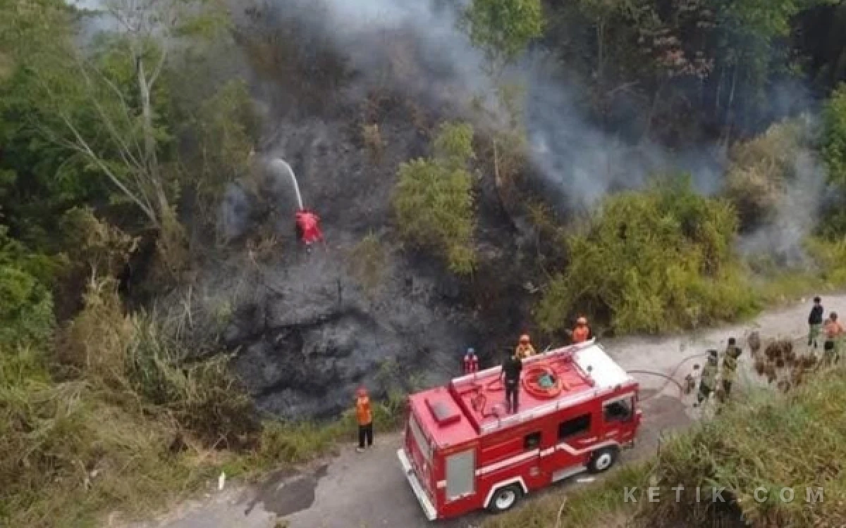 Thumbnail Berita - Puluhan Hektare Lahan di Sekitar Bandara Atung Bungsu  kota Pagar Alam Terbakar