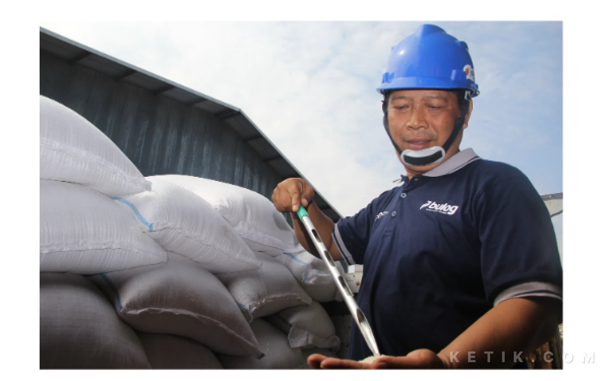 Foto Petugas Quality Control BULOG mengecek beras sebelum masuk ke gudang BULOG Mojongapit Jombang, 15 Mei 2026. (Foto: Rahmat Rifadin/Ketik.com)