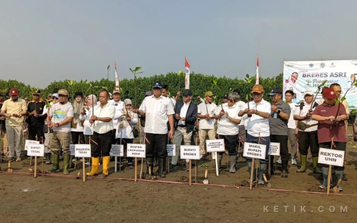 Thumbnail Berita - Kunjungi Brebes, Menteri LH Jumhur Hidayat Dorong Pemulihan 800 Ribu Hektar Mangrove dan Ingatkan Darurat Sampah