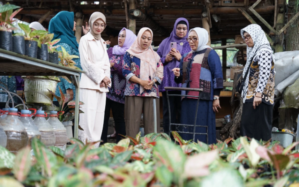 Thumbnail Berita - Terima Kunjungan Menteri PPPA di Kelurahan Ketami, Mbak Wali Tegaskan Peran Perempuan dalam Ketahanan Pangan Keluarga