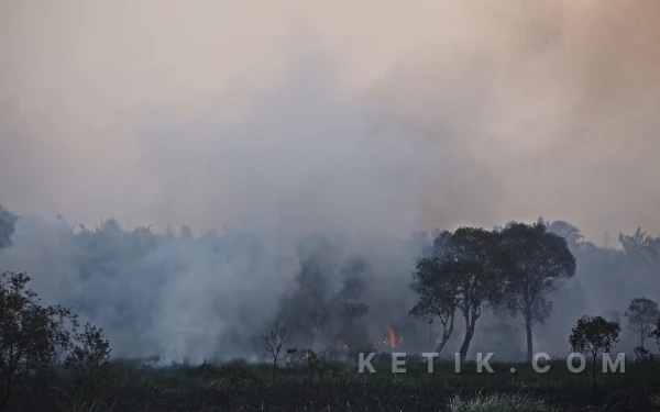 Thumbnail Berita - [FOTO] Kebakaran Lahan di Ogan Ilir Mulai Meluas