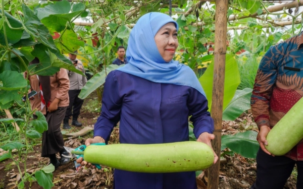 Khofifah Kagum! SMAN 1 Dampit Malang Siap Jadi Percontohan Ketahanan Pangan Berbasis Sekolah