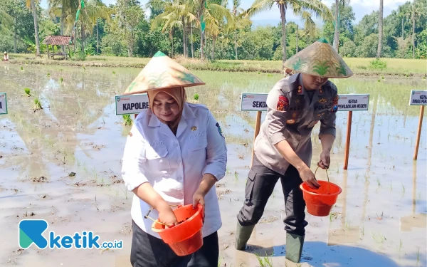 Thumbnail Berita - Kuatkan Swasembada Pangan, Forkopimda Situbondo Tanam Padi Bersama