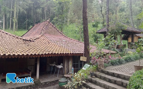Kedai Hutan Cempaka Pasuruan, Menikmati Sejuknya Alam dan Kulineran Syahdu di Rumah Joglo