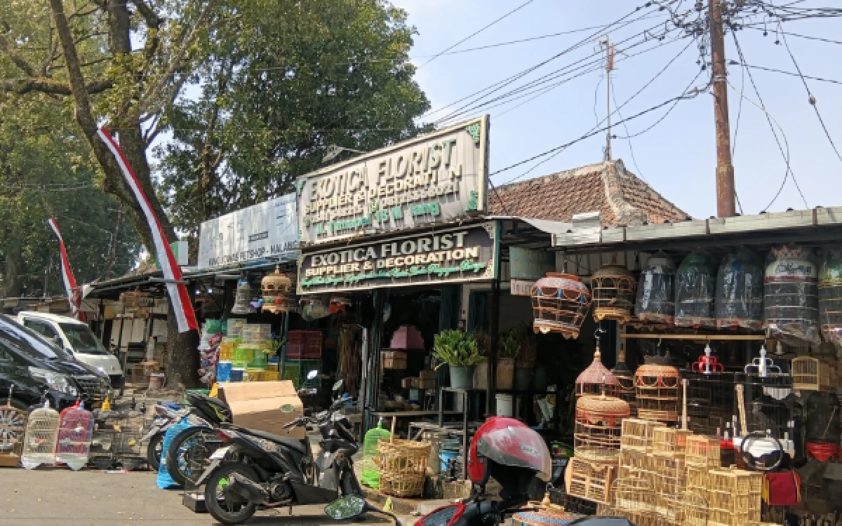 Thumbnail Berita - Dari mulai Hobi, Lapak Bunga Dekorasi Hadir Memberi Warna Baru di Pasar Splendid Kota Malang