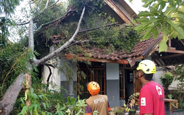 Thumbnail Hujan Disertai Angin Kencang Terjang Kabupaten Malang, Puluhan Rumah Rusak