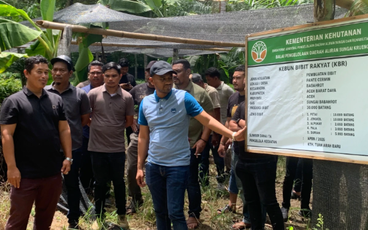 Foto Anggota DPR RI Fraksi PDI Perjuangan, Jamaluddin Idham meninjau pelaksanaan pembibitan tanaman perkebunan di KBR Tuah Harapan Baru, Pante Cermin, Babahrot, Senin (19/10/2026). (Foto: T. Rahmat/Ketik)