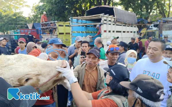 Thumbnail Berita - Pantau Harga, Bupati Situbondo Blusukan ke Pasar Hewan Sabtoan