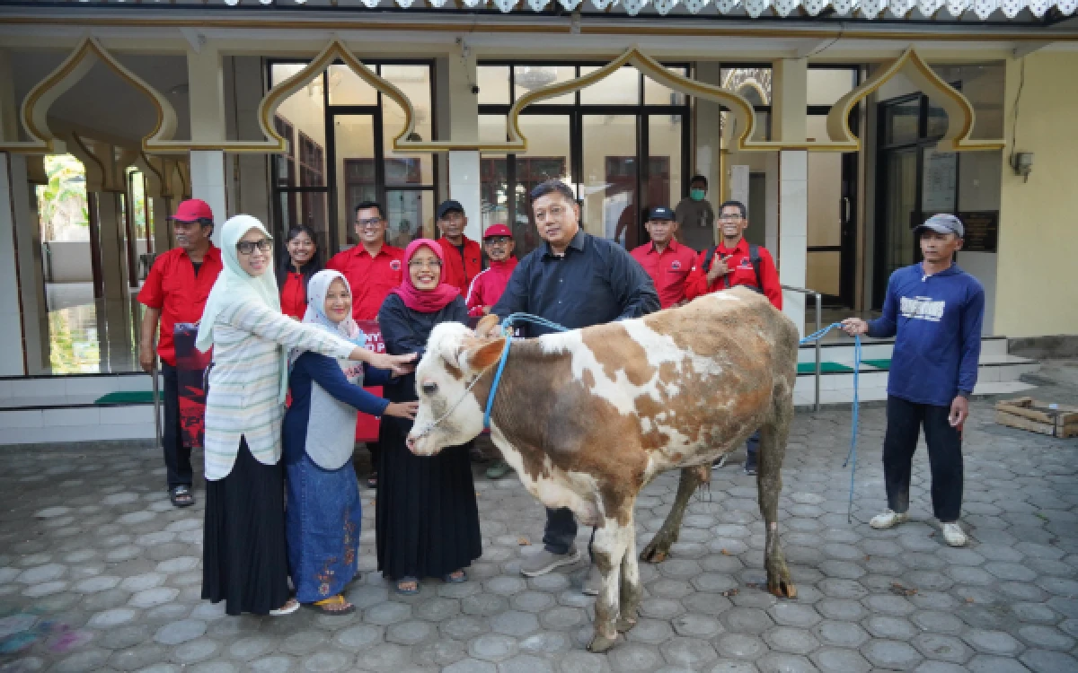 Thumbnail Berita - Rawat Semangat Gotong Royong, PDI Perjuangan Kabupaten Kediri Salurkan 4 Ekor Sapi Kurban