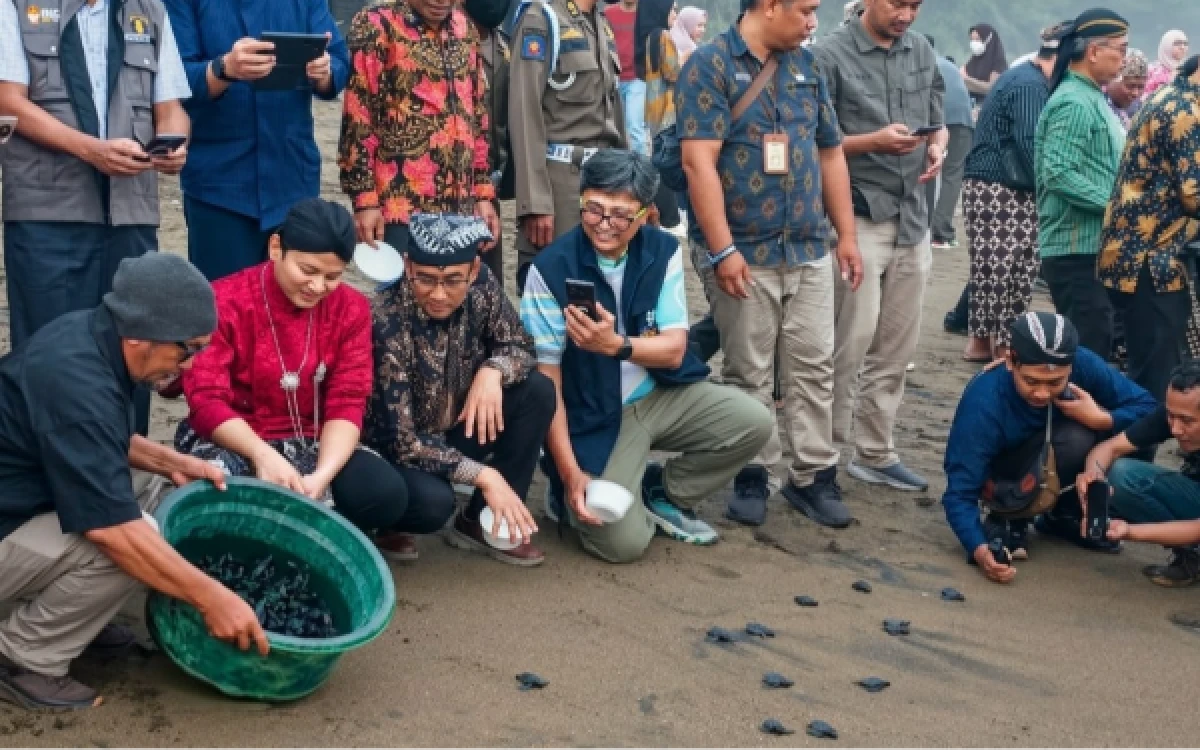 Thumbnail Berita - UB Lepas 1.300 Tukik Bersama Pemkab Trenggalek, Bantu Konservasi Penyu di Pantai Taman Kili-Kili