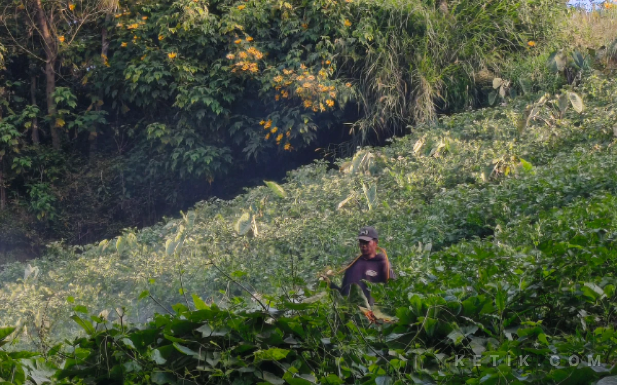 Thumbnail Berita - Embun Es di Ranu Pani Muncul Lebih Awal, Petani Waswas Tanaman Terdampak