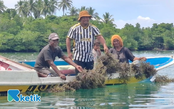 Thumbnail Berita - Desa Laluin Rumput Laut dan Agromaritim Bassam-Helmi, Sejalan Asta Cita Prabowo Subianto