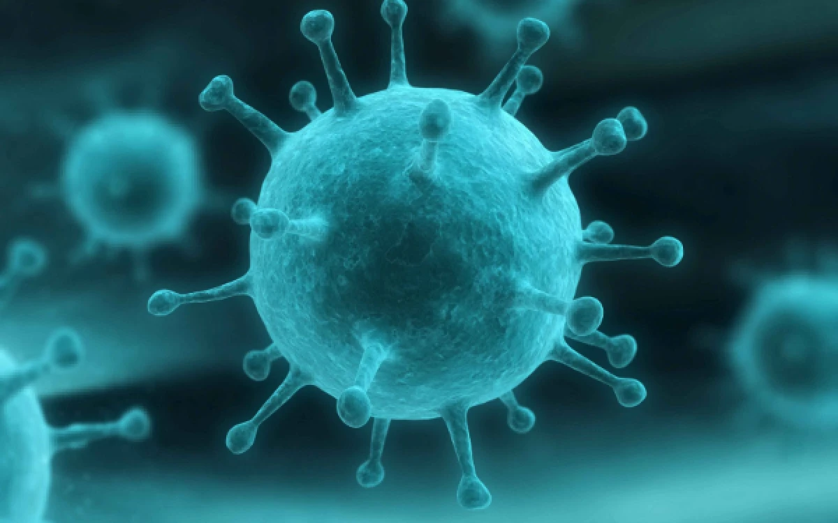 Thumbnail Berita - Influenza A Naik, 4 Kelompok Ini Paling Rentan Menurut Pakar UGM