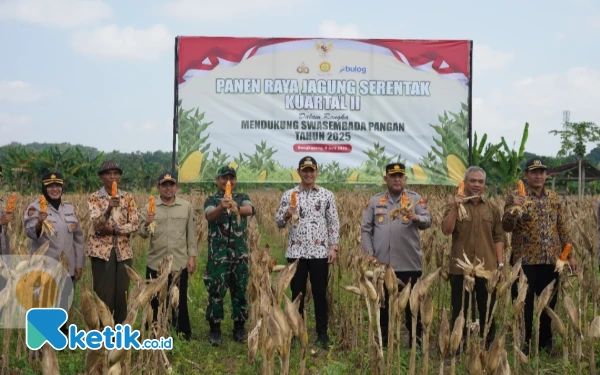 Thumbnail Berita - Panen Raya, Pemkab Tuban Klaim Harga Jagung Pipil Rp5500 Sesuai Ketetapan Pemerintah