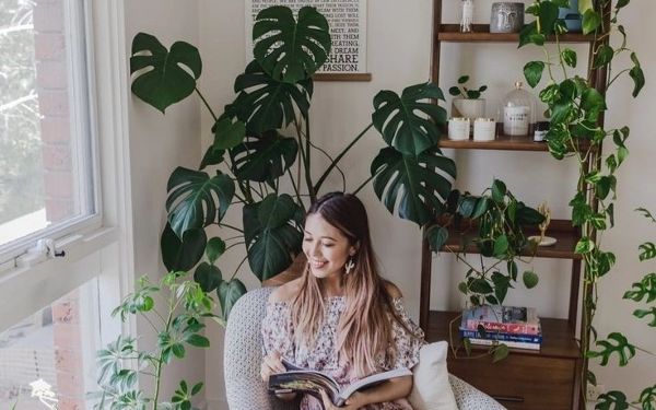 Thumbnail Makin Sejuk, Ini Rekomendasi Tanaman untuk Dekorasi Rumah Lebaran 2023 