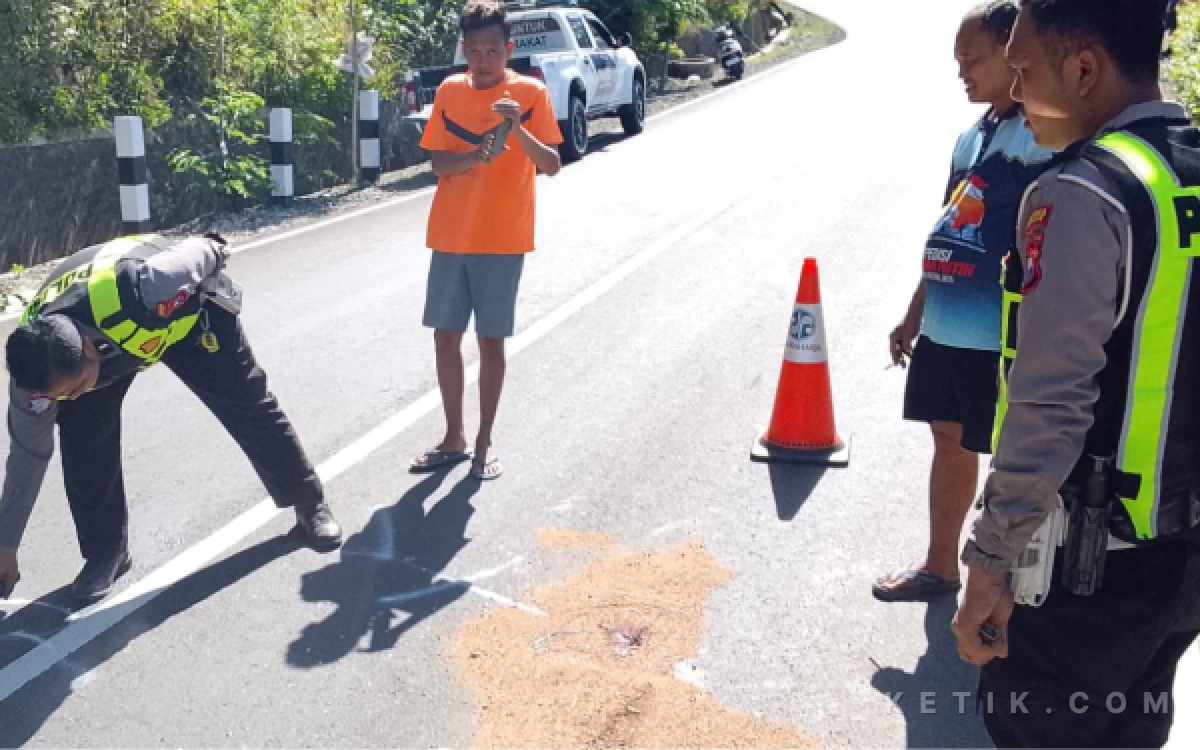 Thumbnail Berita - Maut di Jalur Pacitan-Pringkuku via Sedeng, Pengendara Supra Tewas usai Seruduk Scoopy