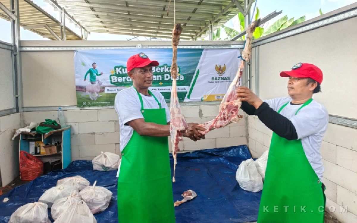 Thumbnail Berita - Baznas RI Borong 45 Kambing Balai Ternak Binaan Baznas Gresik