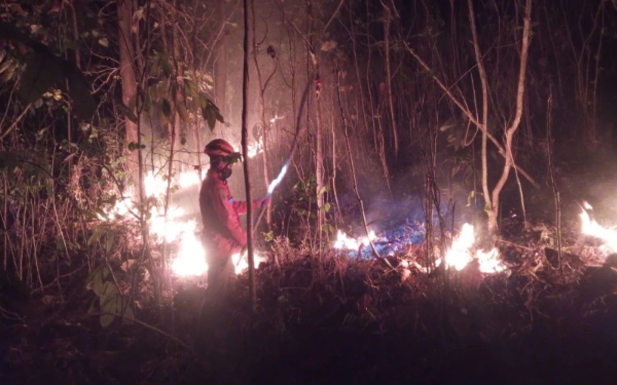 Thumbnail Berita - Update BNPB: Karhutla Landa Lampung, Jatim dan Jateng, Status Siaga Darurat Masih Berlaku