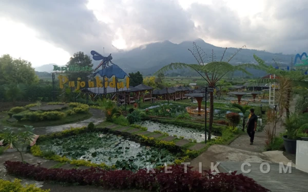 Cafe Sawah Pujon Kidul, Destinasi Kuliner dengan Panorama Persawahan Asri dan Sejuk Pegunungan