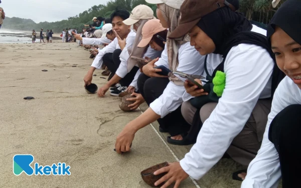 Thumbnail Berita - Ratusan Tukik 'Balapan' ke Laut! Aksi Gemas Volunteer BBF 2025 Selamatkan Ibu Kota Penyu