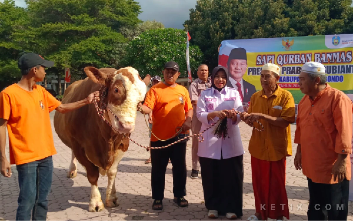 Thumbnail Berita - Wabup Situbondo Serahkan Hewan Kurban Bantuan Presiden Prabowo ke Desa Sopet