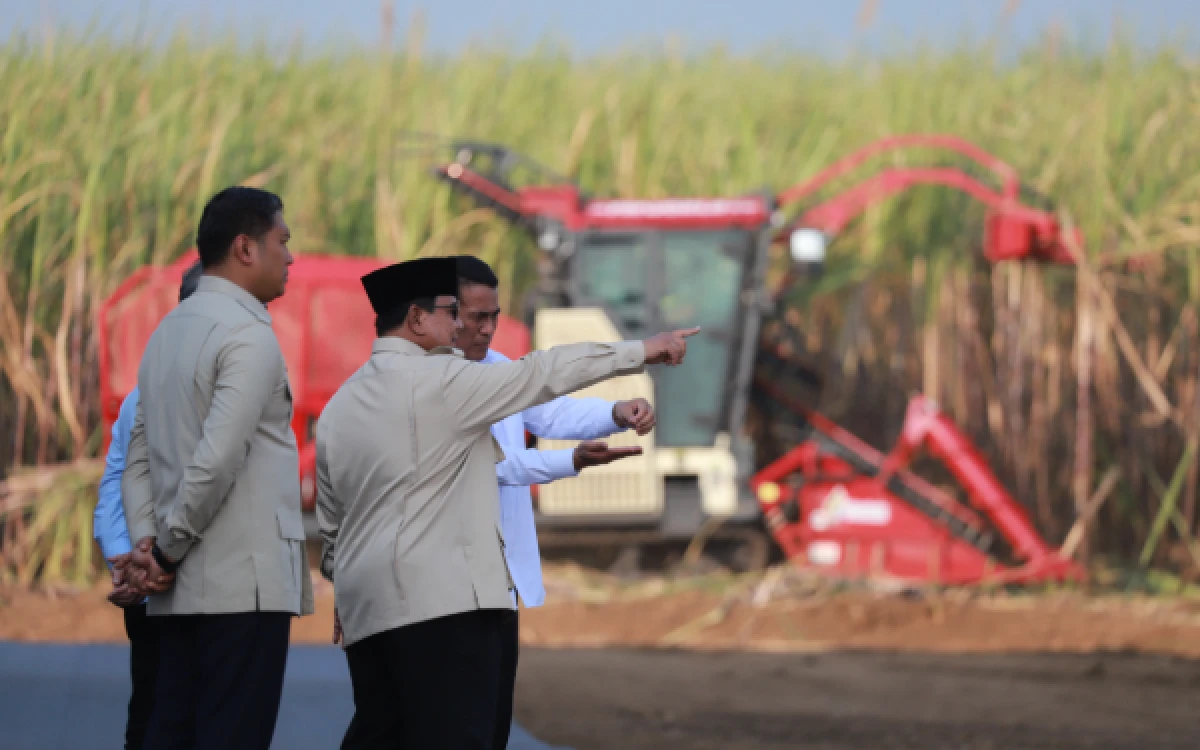 Thumbnail Berita - Prabowo Apresiasi Panen Raya TNI, Sebut Ketahanan Pangan Libatkan Seluruh Kekuatan Bangsa