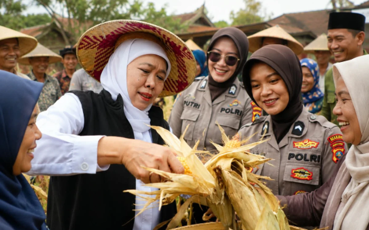 Thumbnail Berita - Hari Polwan, Khofifah Apresiasi Dedikasi Polwan dalam Melindungi dan Melayani Masyarakat
